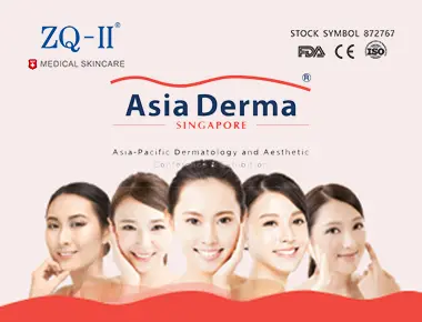 Изложение в Сингапур 12.5-7